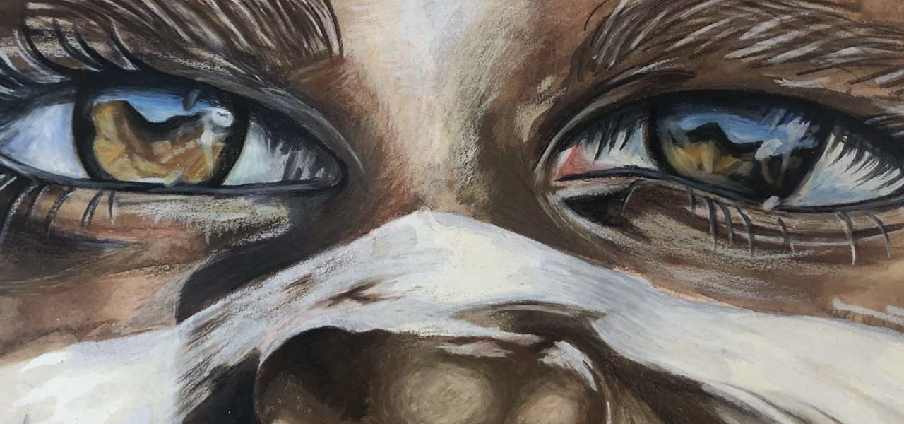 A close-up painting of a feline face, focusing on the intense gaze of its reflective eyes. The vivid eyes mirror a blurred scene, exuding a sense of curiosity.
