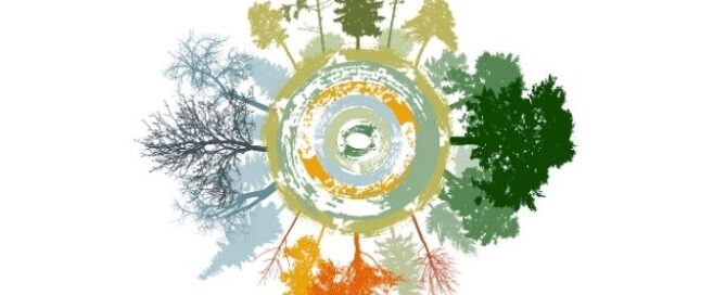 Circular illustration depicting trees in seasonal colors: winter's bare branches, spring's light green, summer's dark green, and autumn's orange.