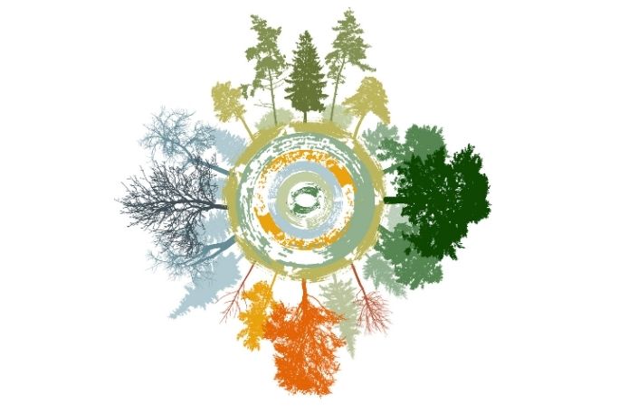 Circular illustration depicting trees in seasonal colors: winter's bare branches, spring's light green, summer's dark green, and autumn's orange.