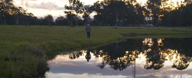 A person walks along a grassy pond at sunset, their reflection visible in the water. Trees silhouette against a colorful sky, creating a tranquil scene.