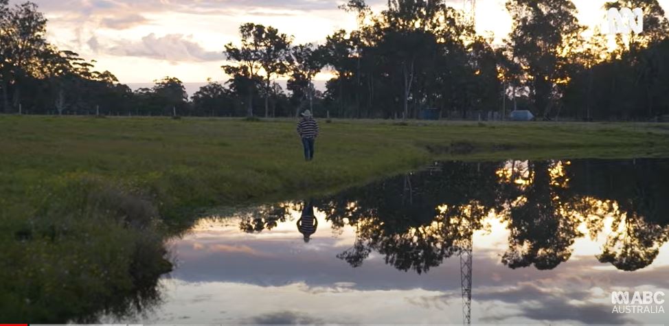 A person walks along a grassy pond at sunset, their reflection visible in the water. Trees silhouette against a colorful sky, creating a tranquil scene.