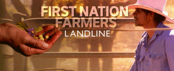 A farmer in a hat leans on a fence in warm sunlight, looking thoughtful. A hand offers small plants. Text reads "First Nation Farmers" and "Landline."