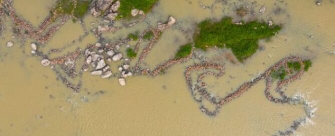Aerial view of fish traps in muddy water, formed by intricate stone arrangements. Green patches scatter around, creating a natural, earthy atmosphere.