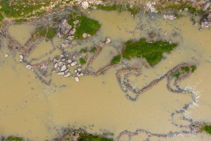 Aerial view of fish traps in muddy water, formed by intricate stone arrangements. Green patches scatter around, creating a natural, earthy atmosphere.