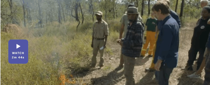 A group of people stands in a forest clearing, observing a small controlled fire on the grass. The atmosphere appears focused and educational.
