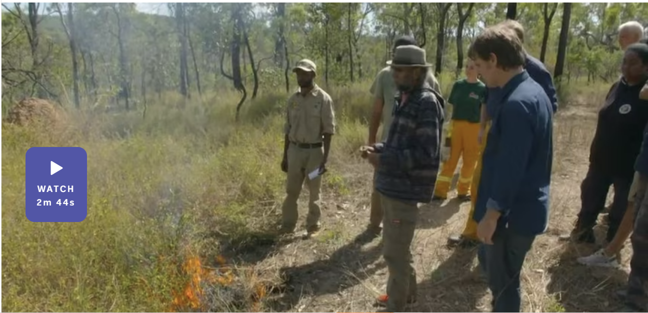 A group of people stands in a forest clearing, observing a small controlled fire on the grass. The atmosphere appears focused and educational.
