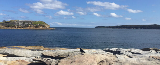Rocky coastline with a black bird perched on sunlit rocks in the foreground. A calm blue sea stretches to distant hills under a partly cloudy sky.