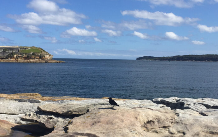 Rocky coastline with a black bird perched on sunlit rocks in the foreground. A calm blue sea stretches to distant hills under a partly cloudy sky.