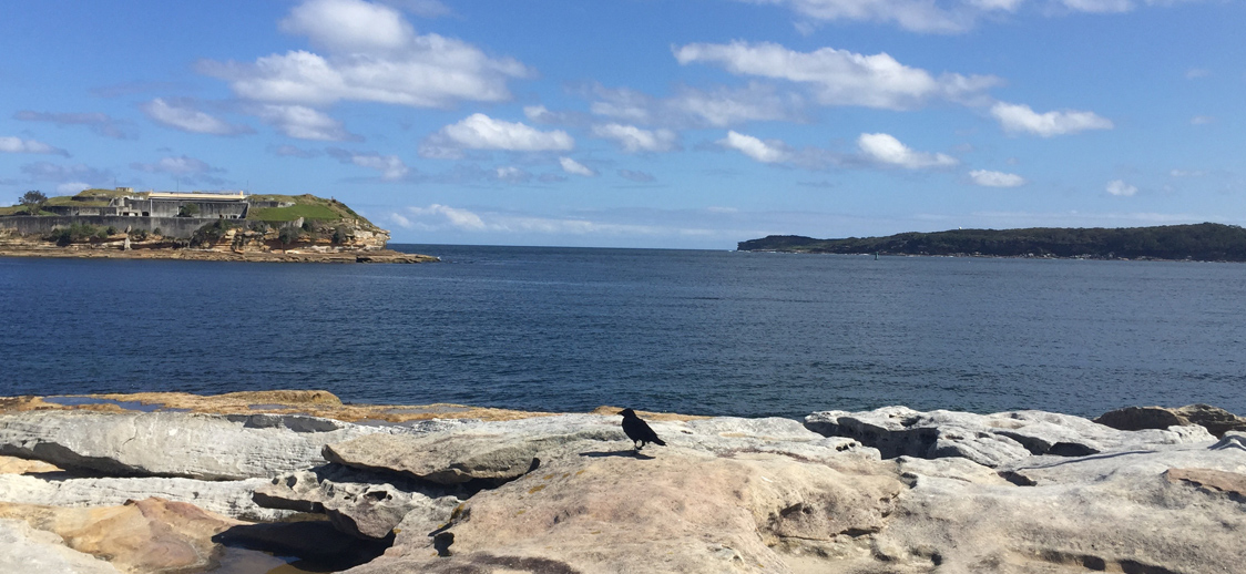 Rocky coastline with a black bird perched on sunlit rocks in the foreground. A calm blue sea stretches to distant hills under a partly cloudy sky.