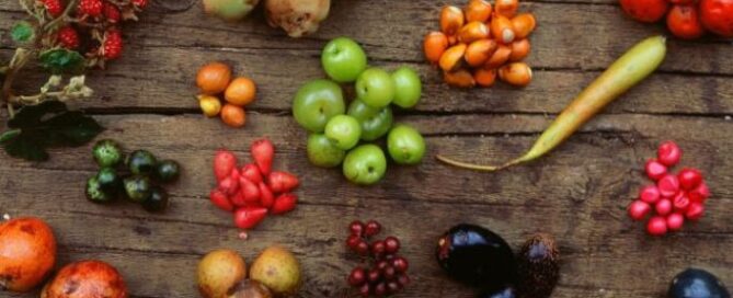 A variety of colorful fruits displayed on a rustic wooden surface. Includes clusters of red, green, orange, and black berries, creating a vibrant, natural feel.