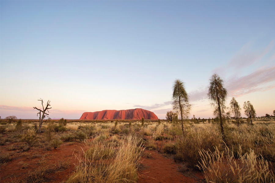 Vast landscape with Uluru rock formation under a clear sky at sunset, surrounded by dry grass and sparse trees, creating a serene, timeless scene.