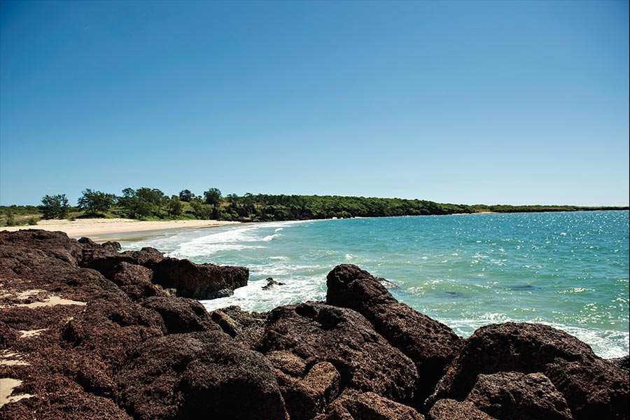 Rocky shore leads to a tranquil beach with green trees under a clear blue sky. The turquoise sea gently laps at the sand, creating a peaceful scene.